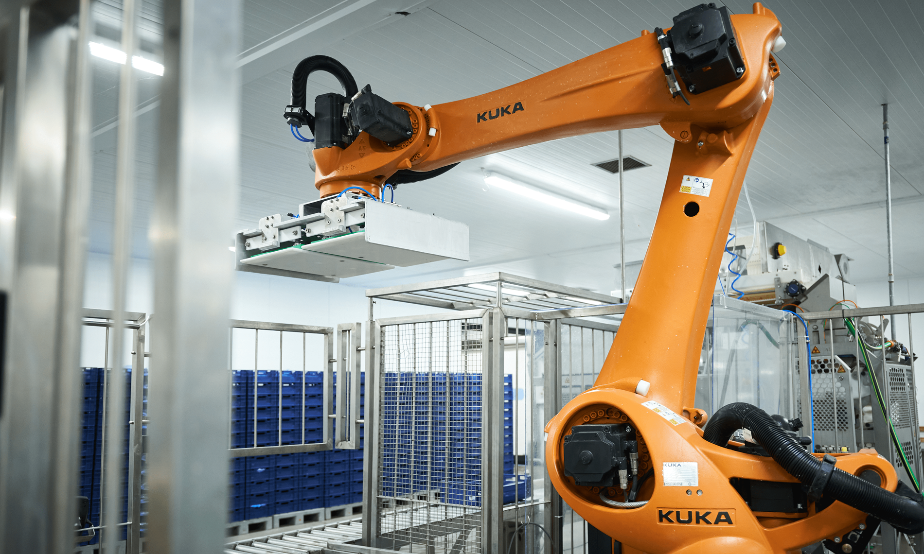 Robot KUKA per la pallettizzazione di casse di pesce alla Pakfish