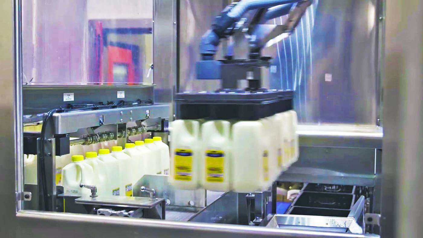 Tiefkühl-Palettierung