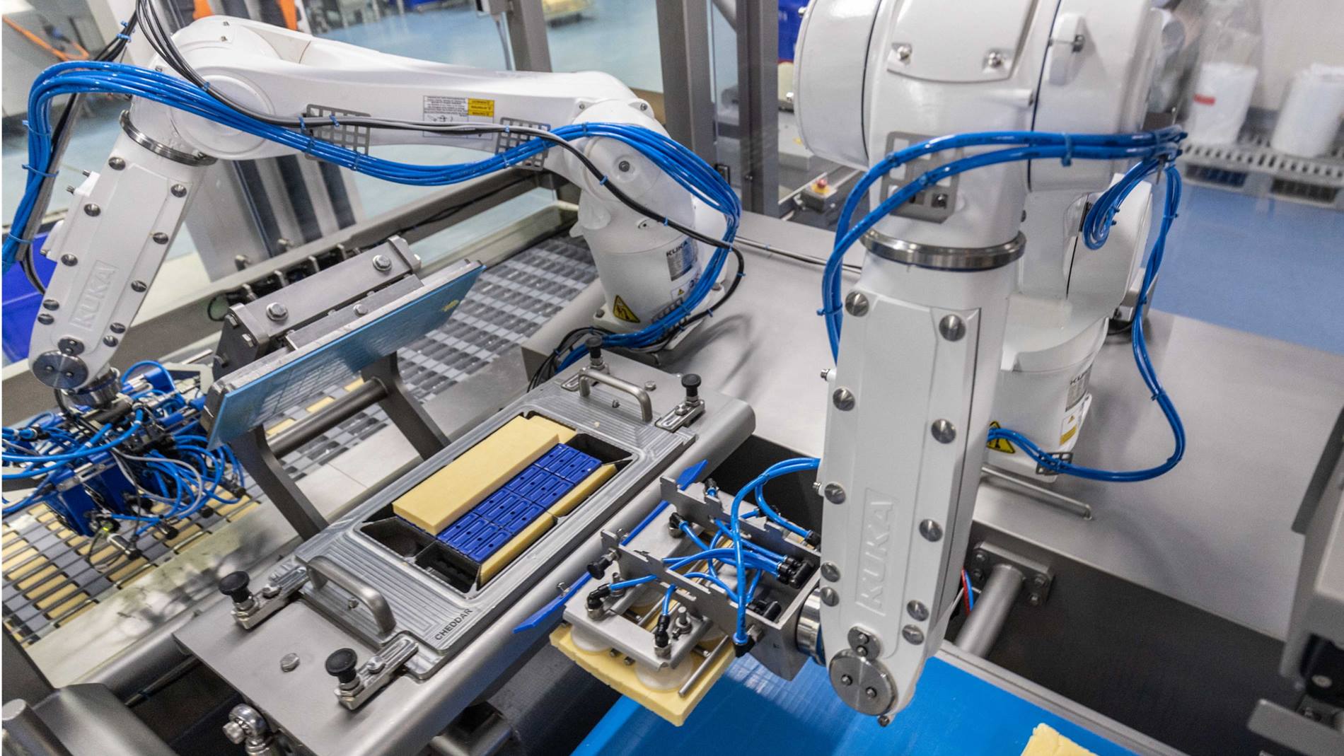 Automated hygienic food processing and cheese cutting.