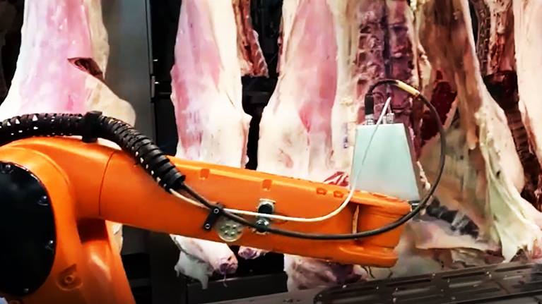 KUKA Robot Meat Ispection Marbling Check